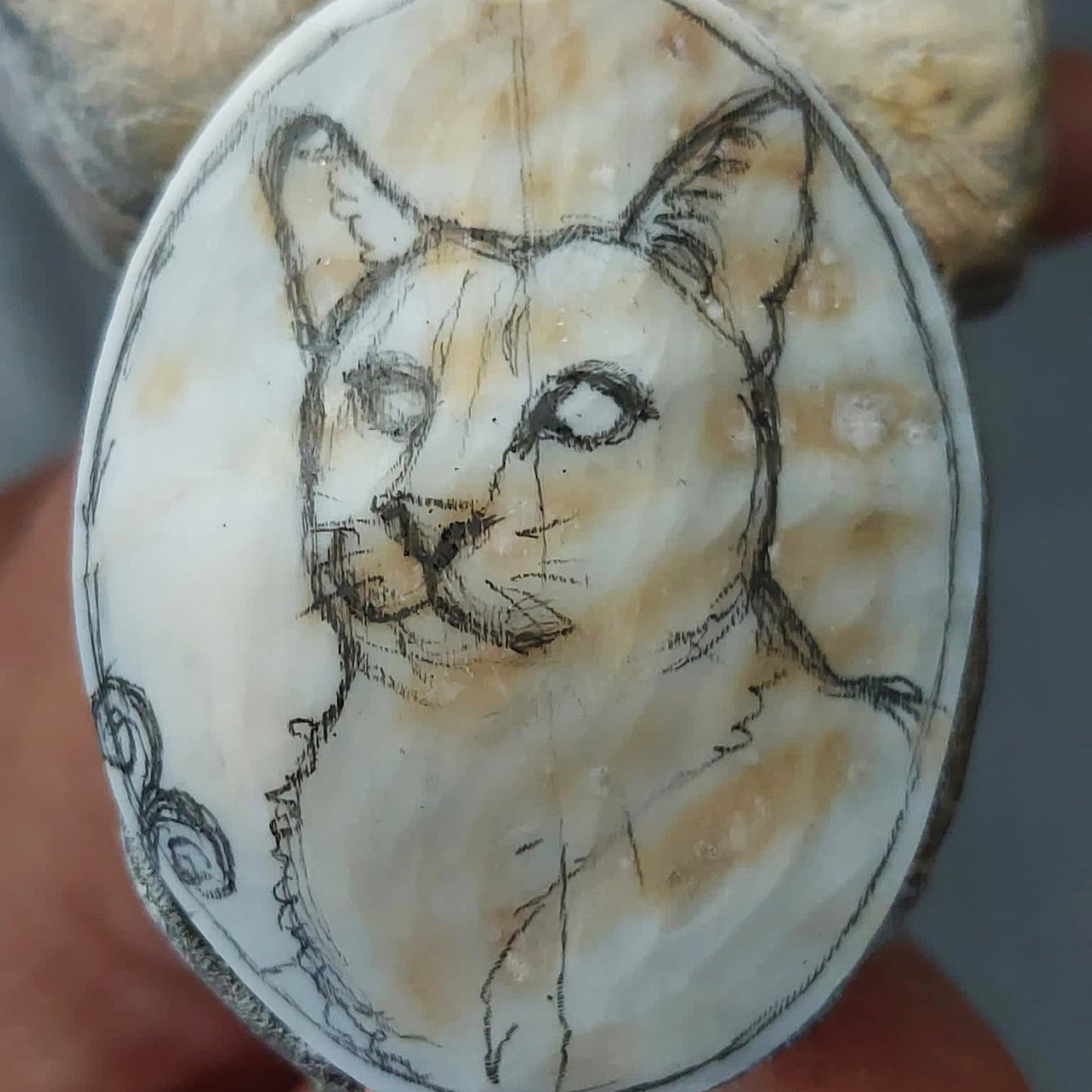 PERSONALISE YOUR CAMEO - CATS